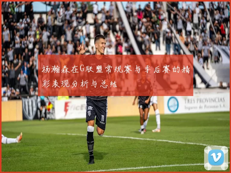 杨瀚森在G联盟常规赛与季后赛的精彩表现分析与总结